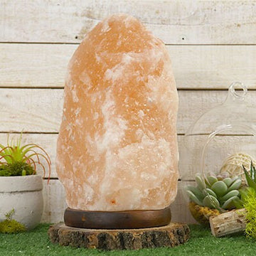 Hand-Craved Himalayan Salt Lamp from Pure Himalayan Salt Minerals from Million Year OId Salt Mine
