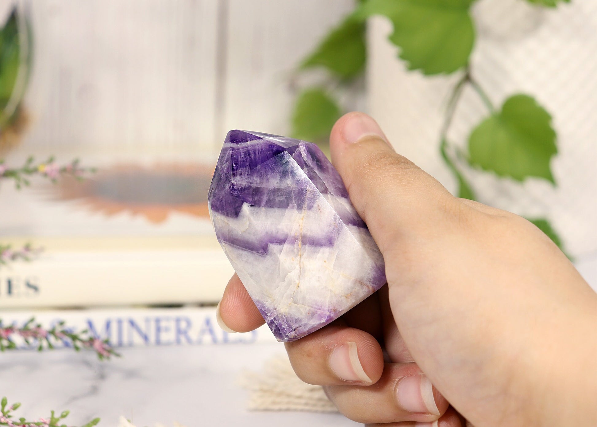 Chevron Amethyst Point