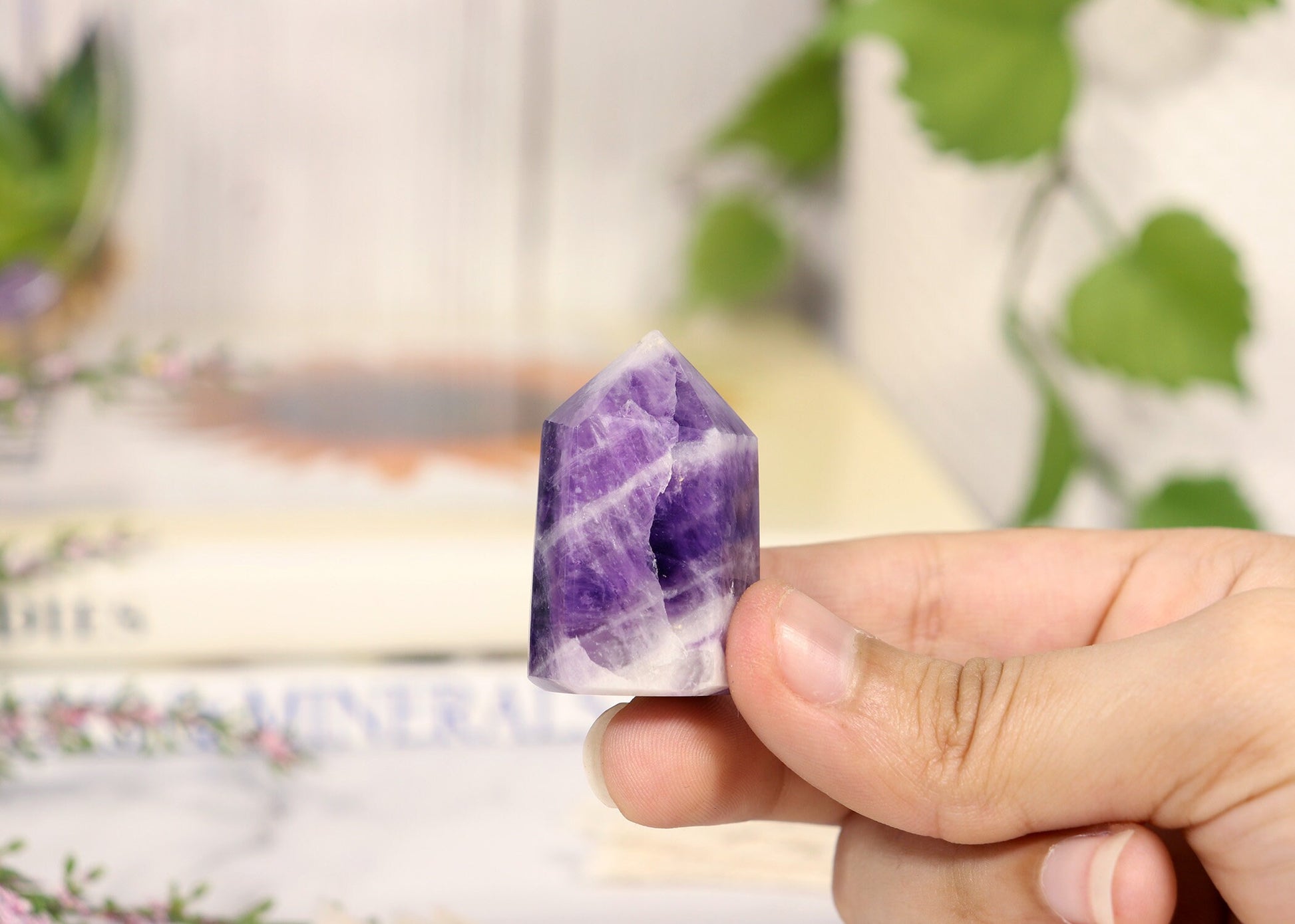 Chevron Amethyst Point