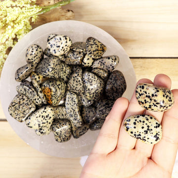 Wholesale Lot of Dalmatian Jasper Tumbled Stones, Natural Polished Gemstone, Jewelry, DIY, Ethically Sourced