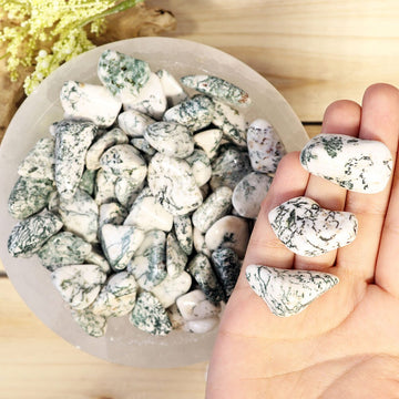 Wholesale Lot of Tree Agate Tumbled Stones, Natural Polished Gemstone, Jewelry, Gift for Her, DIY, Ethically Sourced