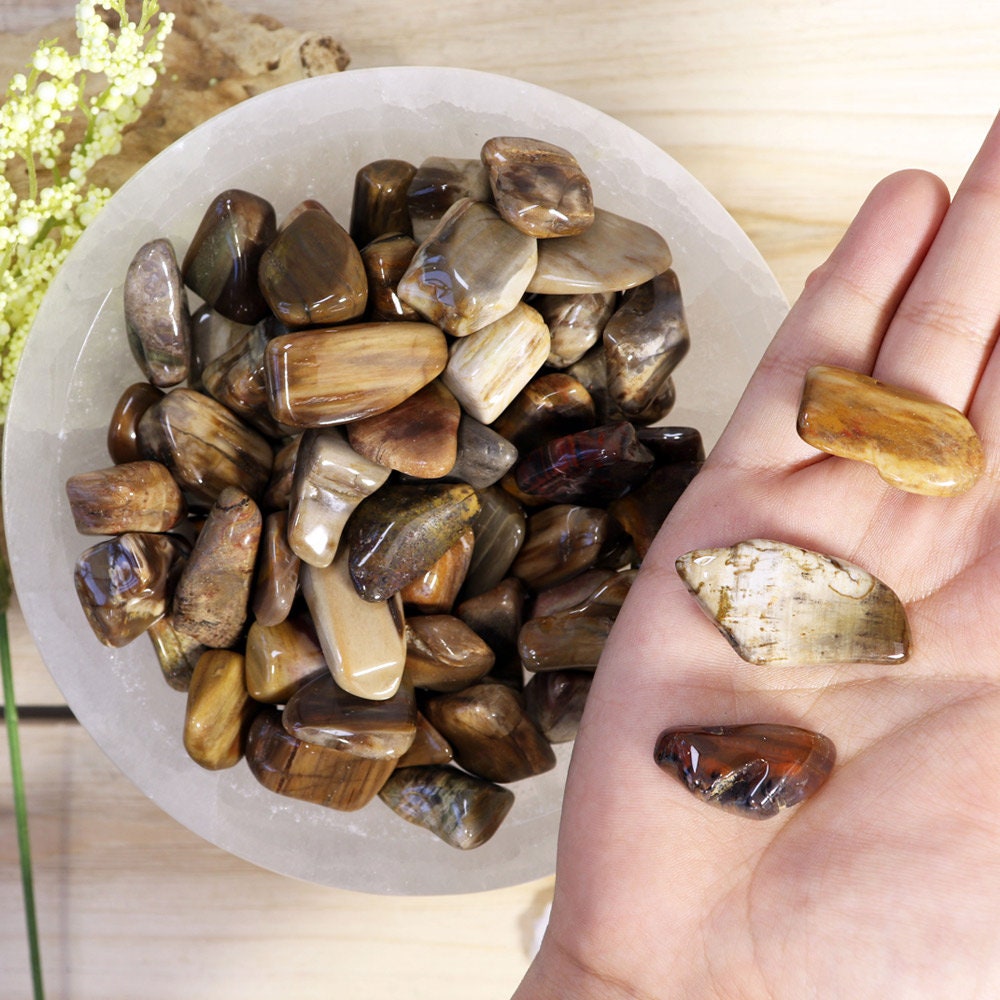 Wholesale Lot of Petrified Wood Tumble Stones, Natural Polished Gemstone, Jewelry, DIY, Ethically Sourced