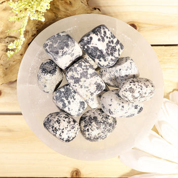 Dalmatian Jasper Tumbled Stones, Root Chakra, Sacral Chakra, Reiki, Energy Healing