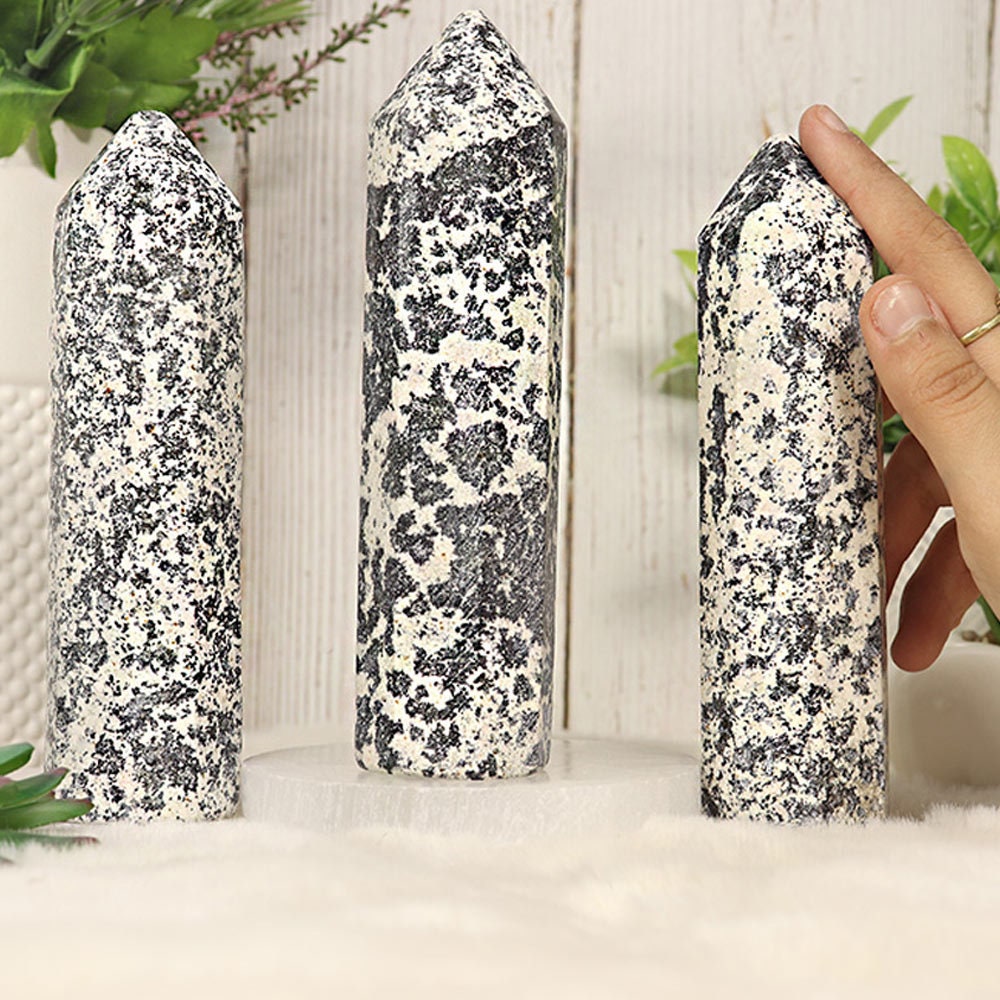 Dalmatian Jasper XL Tower, Crystal Points, Root Chakra, Sacral Chakra, Gemini stone, Home Decor