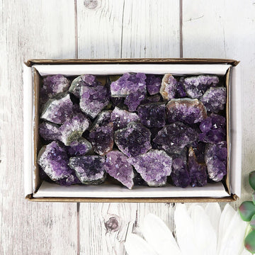 Amethyst Mini Clusters Flat - Grade AAA | Amethyst Crystal