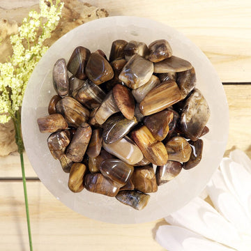 Wholesale Lot of Petrified Wood Tumble Stones, Natural Polished Gemstone, Jewelry, DIY, Ethically Sourced