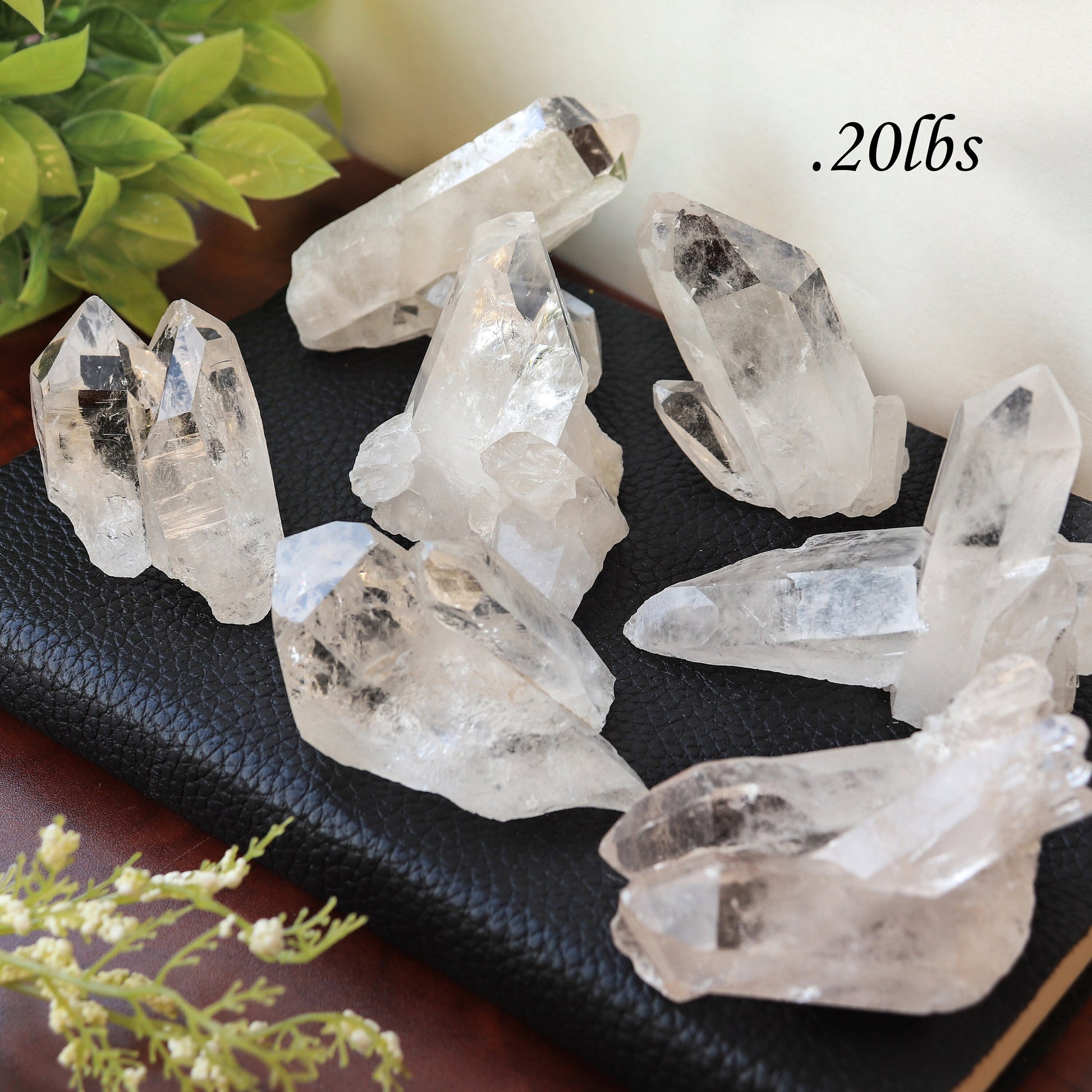 Clear Quartz Natural Clusters & Points, A Master Healer, Pick your Size