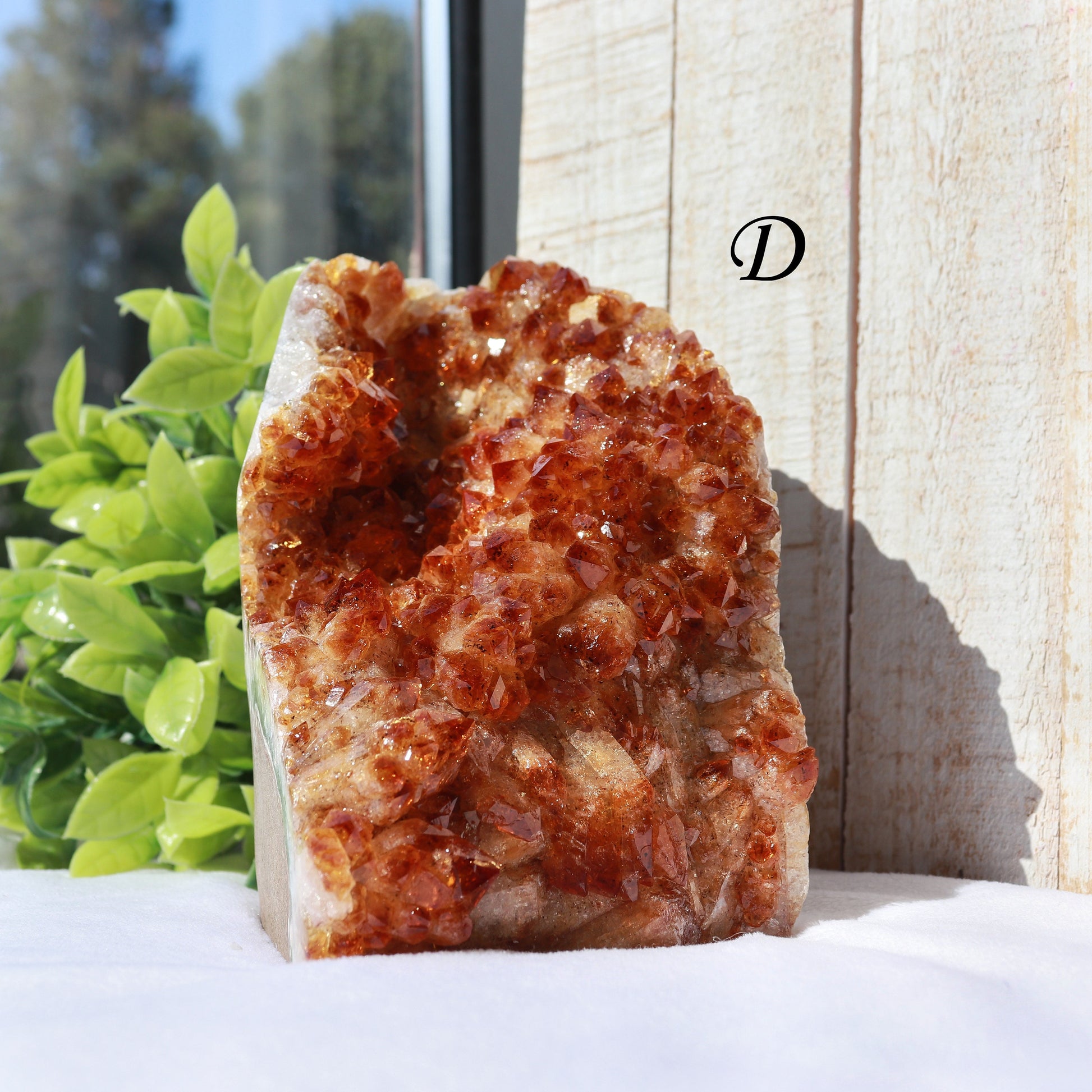 Extra-Large Grade A Citrine Base Cut, Citrine Druzy Cluster, Crystal Stand Up, Ethically Sourced - PICK YOUR OWN