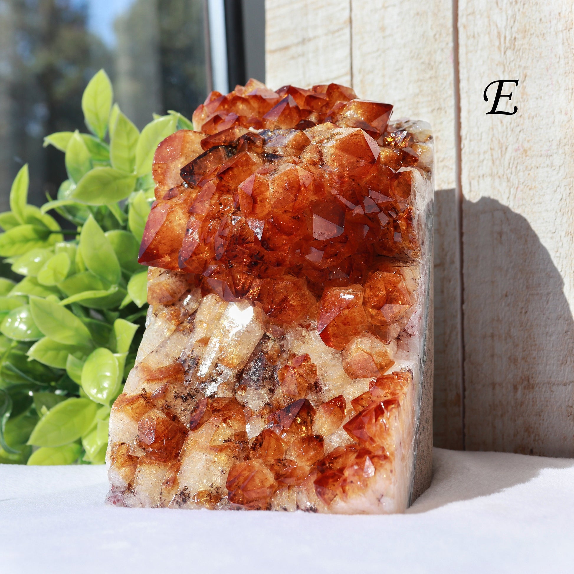 Extra-Large Grade A Citrine Base Cut, Citrine Druzy Cluster, Crystal Stand Up, Ethically Sourced - PICK YOUR OWN