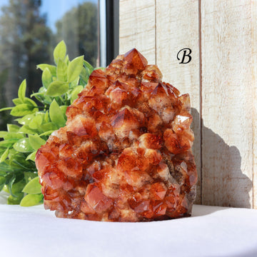 Extra-Large Grade A Citrine Base Cut, Citrine Druzy Cluster, Crystal Stand Up, Ethically Sourced - PICK YOUR OWN