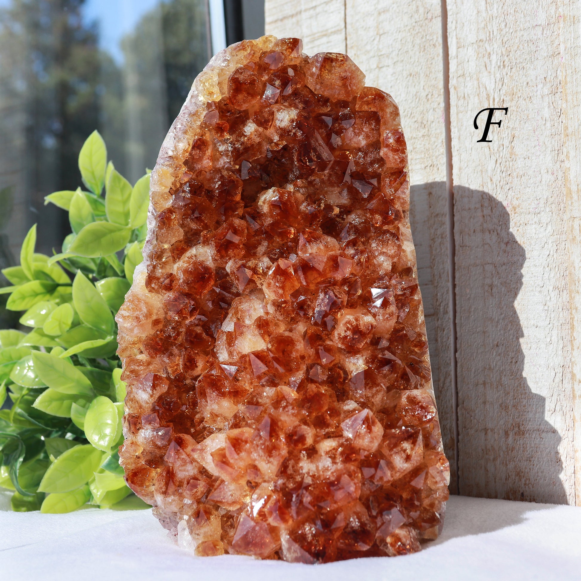 Extra-Large Grade A Citrine Base Cut, Citrine Druzy Cluster, Crystal Stand Up, Ethically Sourced - PICK YOUR OWN