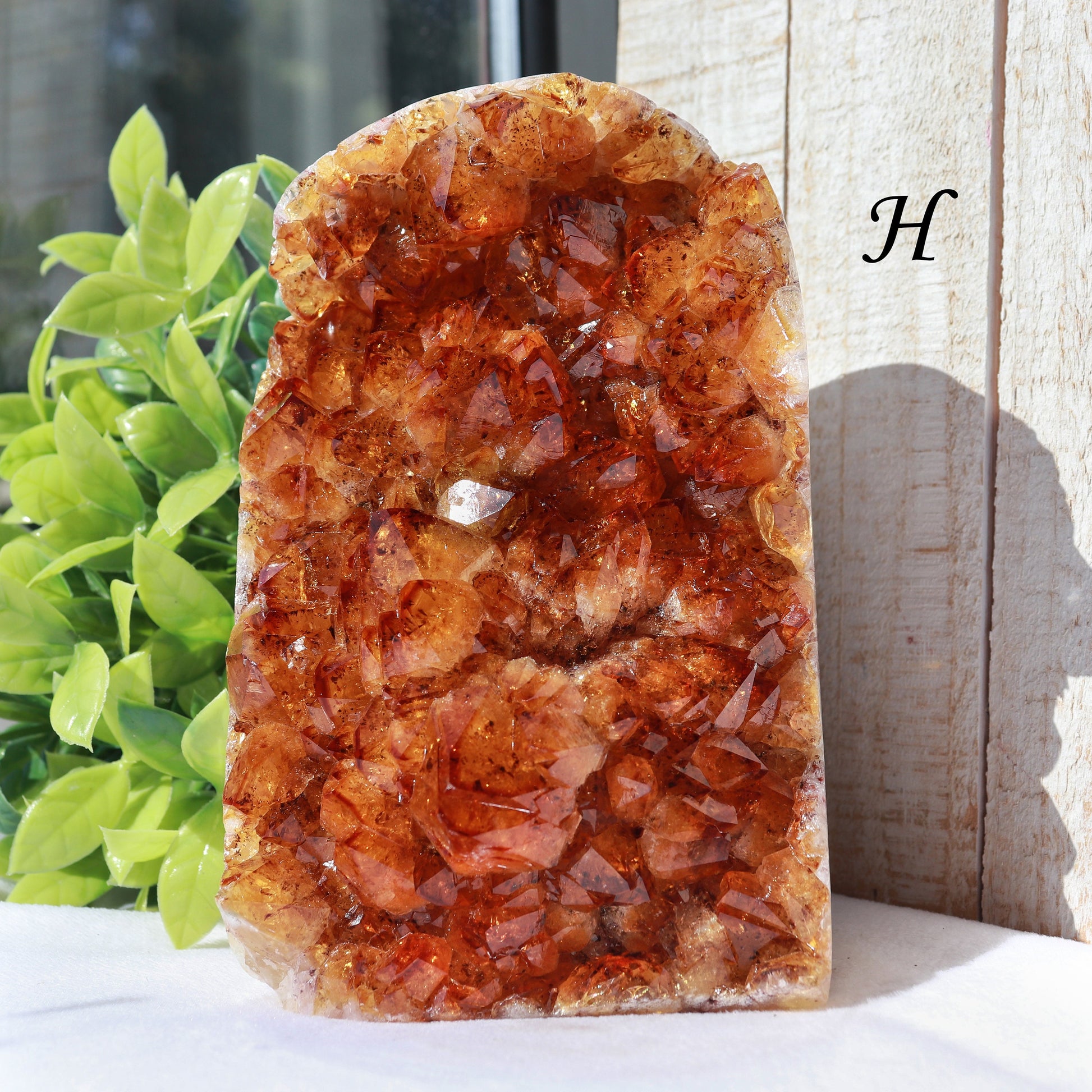 Extra-Large Grade A Citrine Base Cut, Citrine Druzy Cluster, Crystal Stand Up, Ethically Sourced - PICK YOUR OWN