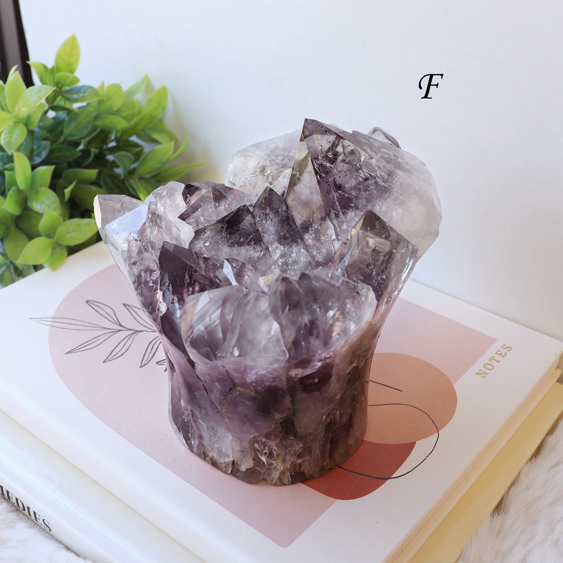 Extra Large Amethyst Bouquet, Perfect gift for Her, Crystal Cupcake Mothers Day, Anxiety Relief - PICK YOUR OWN