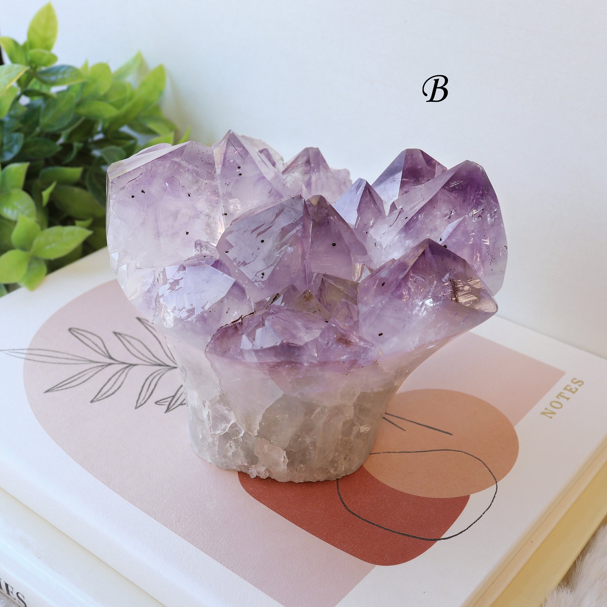 Extra Large Amethyst Bouquet, Perfect gift for Her, Crystal Cupcake Mothers Day, Anxiety Relief - PICK YOUR OWN