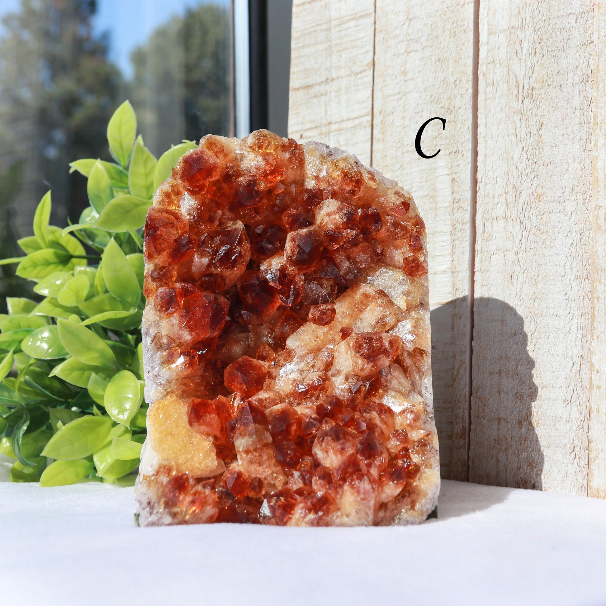 Extra-Large Grade A Citrine Base Cut, Citrine Druzy Cluster, Crystal Stand Up, Ethically Sourced - PICK YOUR OWN