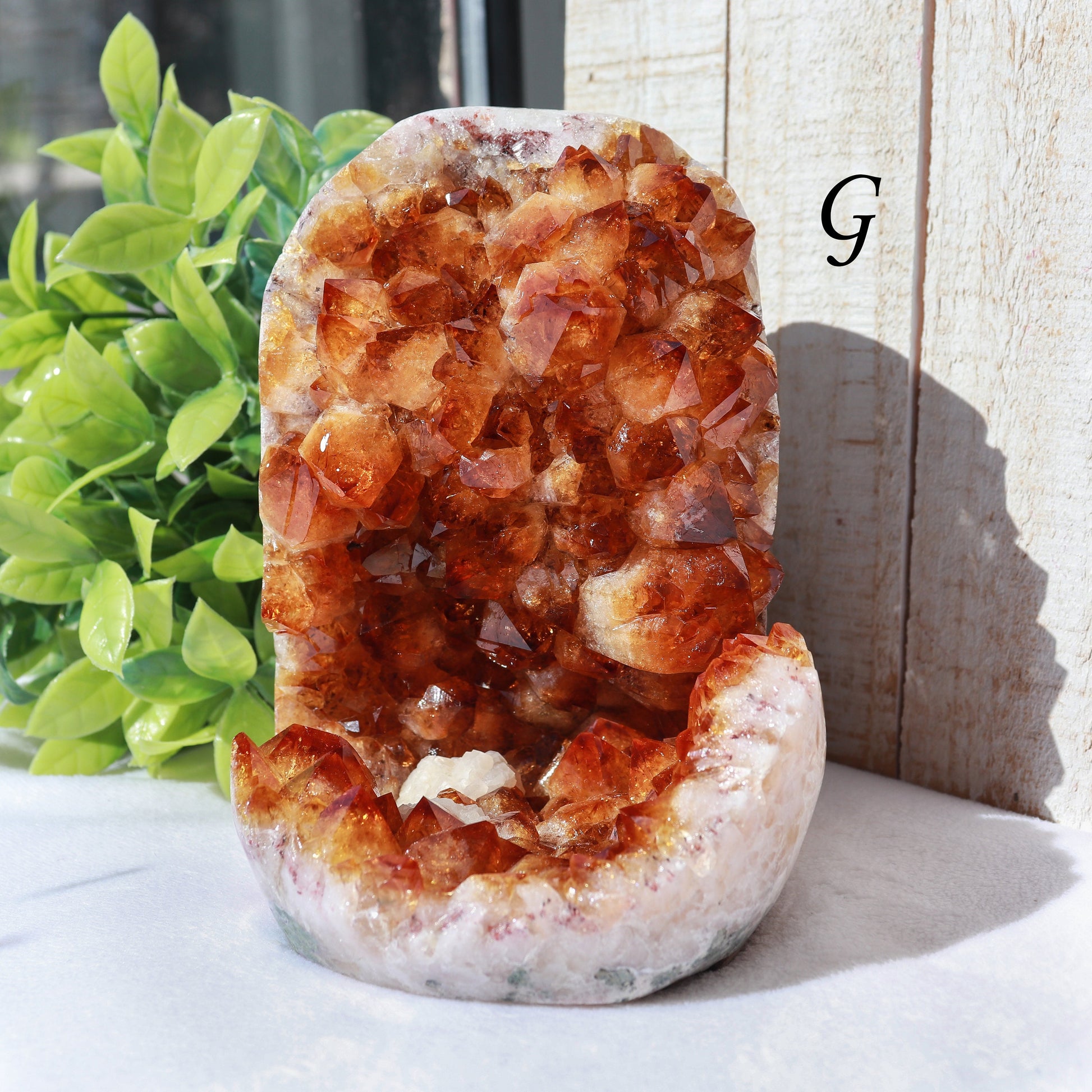 Extra-Large Grade A Citrine Base Cut, Citrine Druzy Cluster, Crystal Stand Up, Ethically Sourced - PICK YOUR OWN