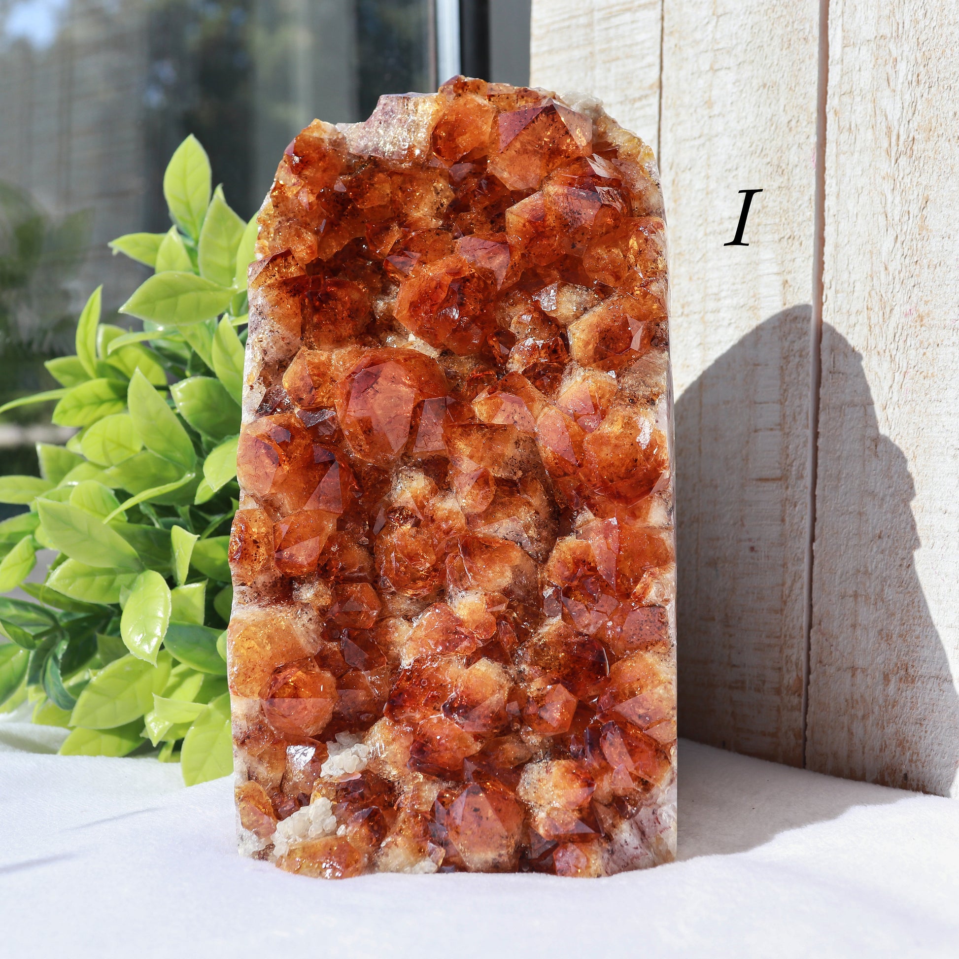 Extra-Large Grade A Citrine Base Cut, Citrine Druzy Cluster, Crystal Stand Up, Ethically Sourced - PICK YOUR OWN