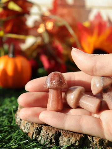 Mini Mushroom Crystals, Red Aventurine Gemstone, 20mm, Mushroom Home Decor - SET OF ONE