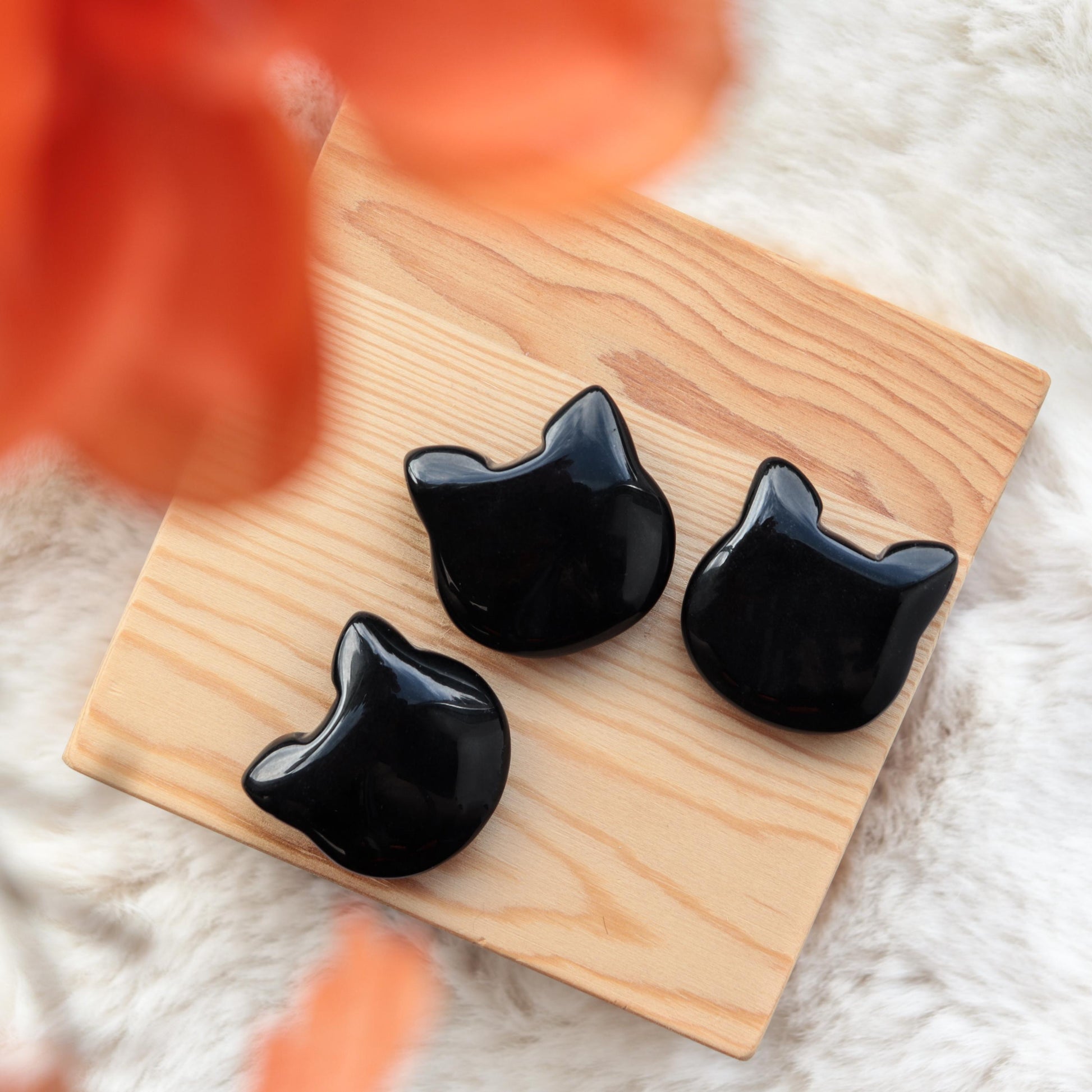 Adorable Crystal Carved Kitty Face, Black Obsidian Gemstone, Protecting Crystal, Animal Statue - SET OF FIVE