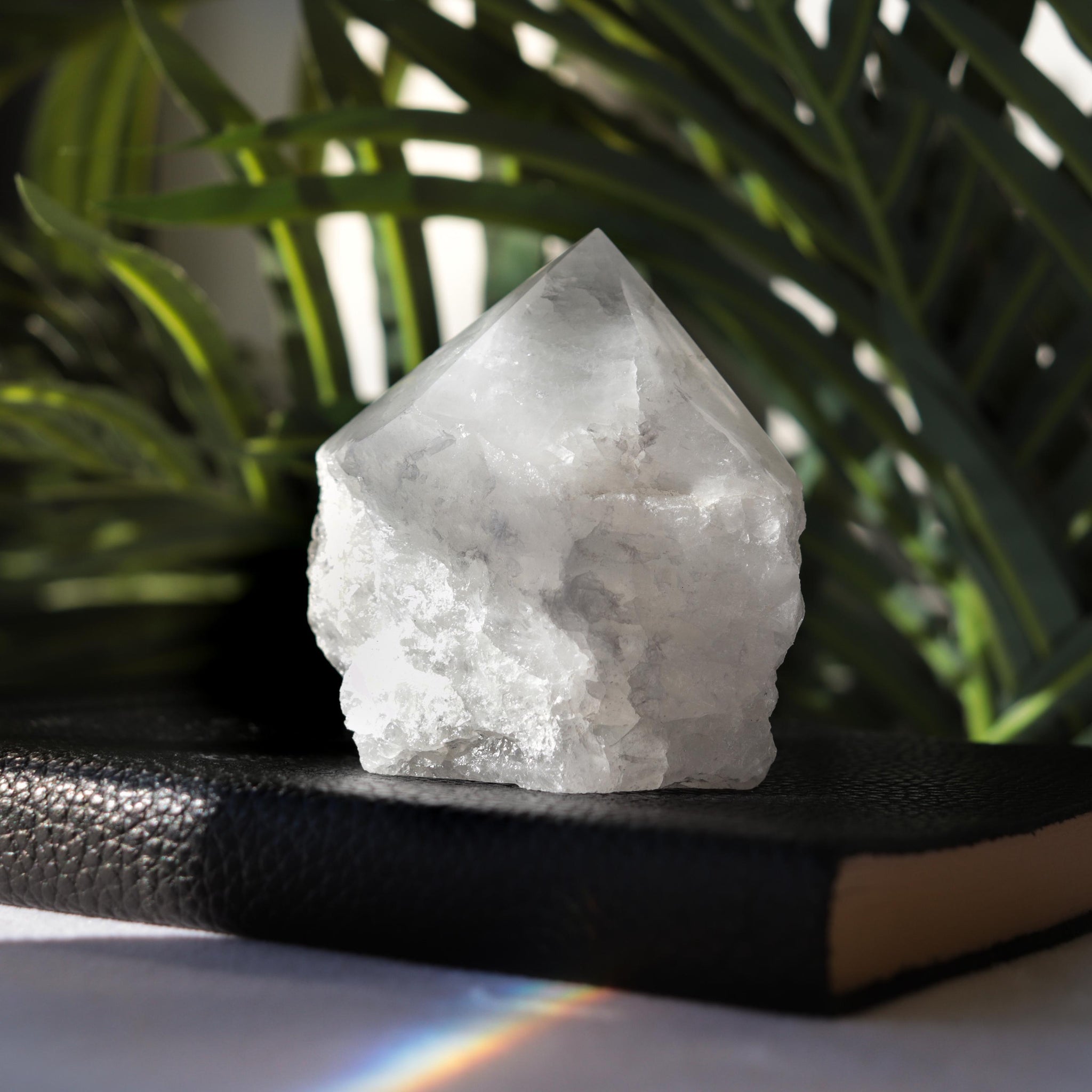 Quartz Point Base Cut | Natural Home Decor Concept | Ideal Healing Crystal Companion