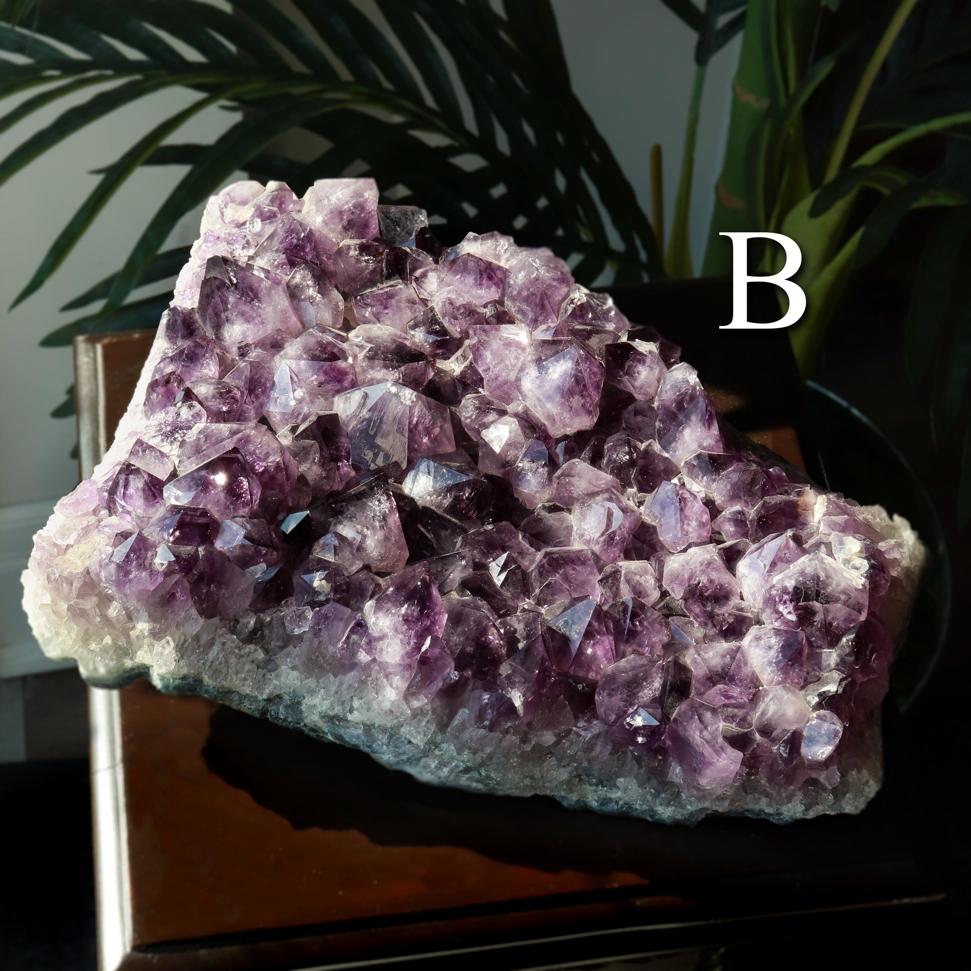 X-LARGE Grade A Amethyst Cluster, Unique Crystal Specimen, Ethically Sourced from Brazil, Real Crystal Amethyst, Pick our Own