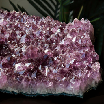 X-LARGE Grade A Amethyst Cluster, Unique Crystal Specimen, Ethically Sourced from Brazil, Real Crystal Amethyst, Pick our Own