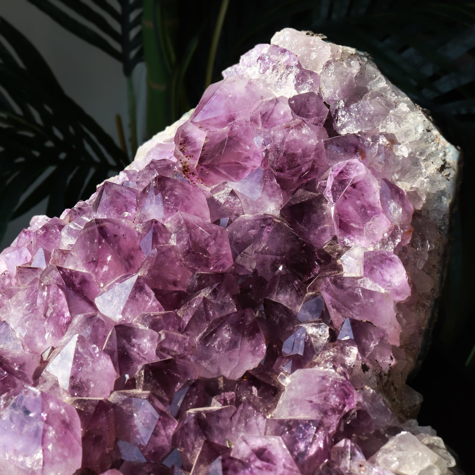 X-LARGE Grade A Amethyst Cluster, Unique Crystal Specimen, Ethically Sourced from Brazil, Real Crystal Amethyst, Pick our Own