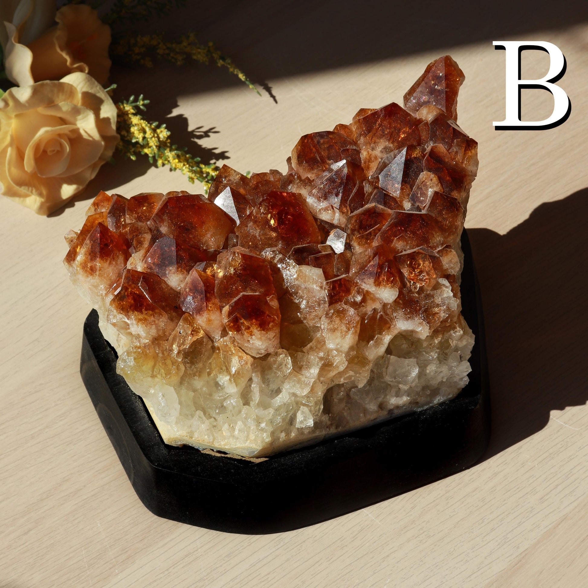 Huge Grade A Citrine Cluster, Crystal on Wooden Base, Ethically Sourced - PICK YOUR OWN