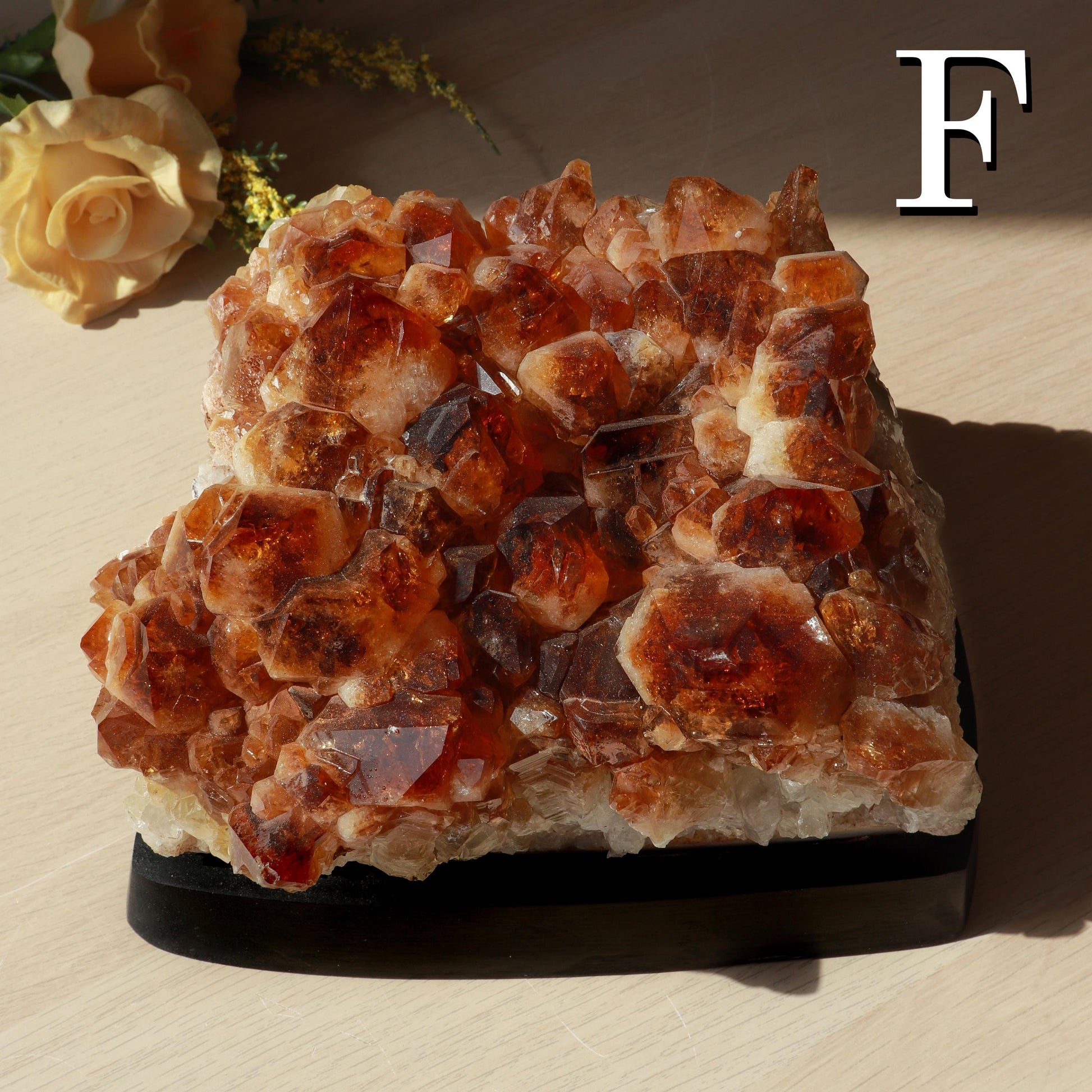 Huge Grade A Citrine Cluster, Crystal on Wooden Base, Ethically Sourced - PICK YOUR OWN