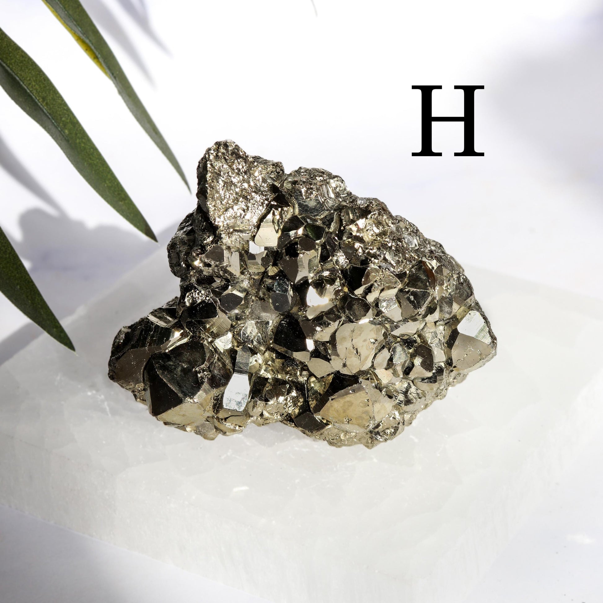 Natural Pyrite Clusters, Ethically Sourced, Abundance and Prosperity - PICK YOUR OWN