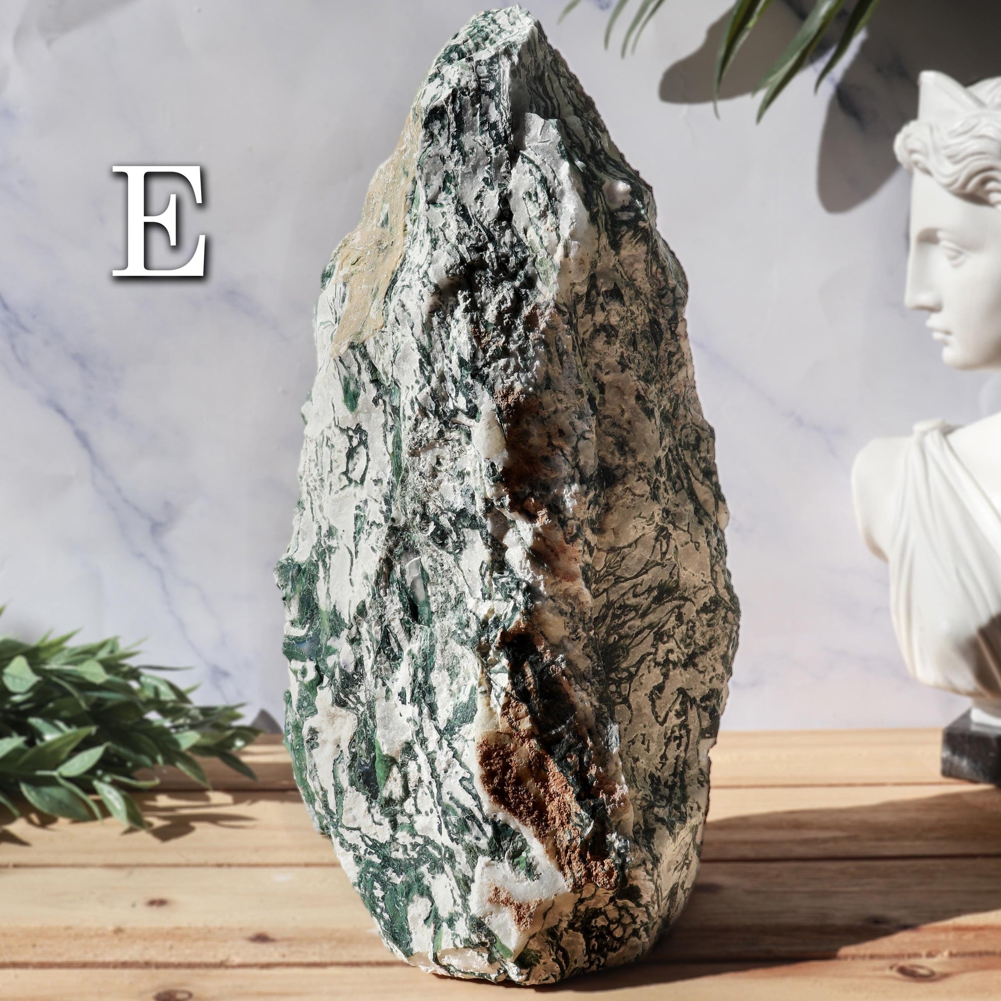Tree Agate Decor Crystal, Ethically Sourced, Calming, Grounding Energy, Nature-Inspired Boho Decor Gift