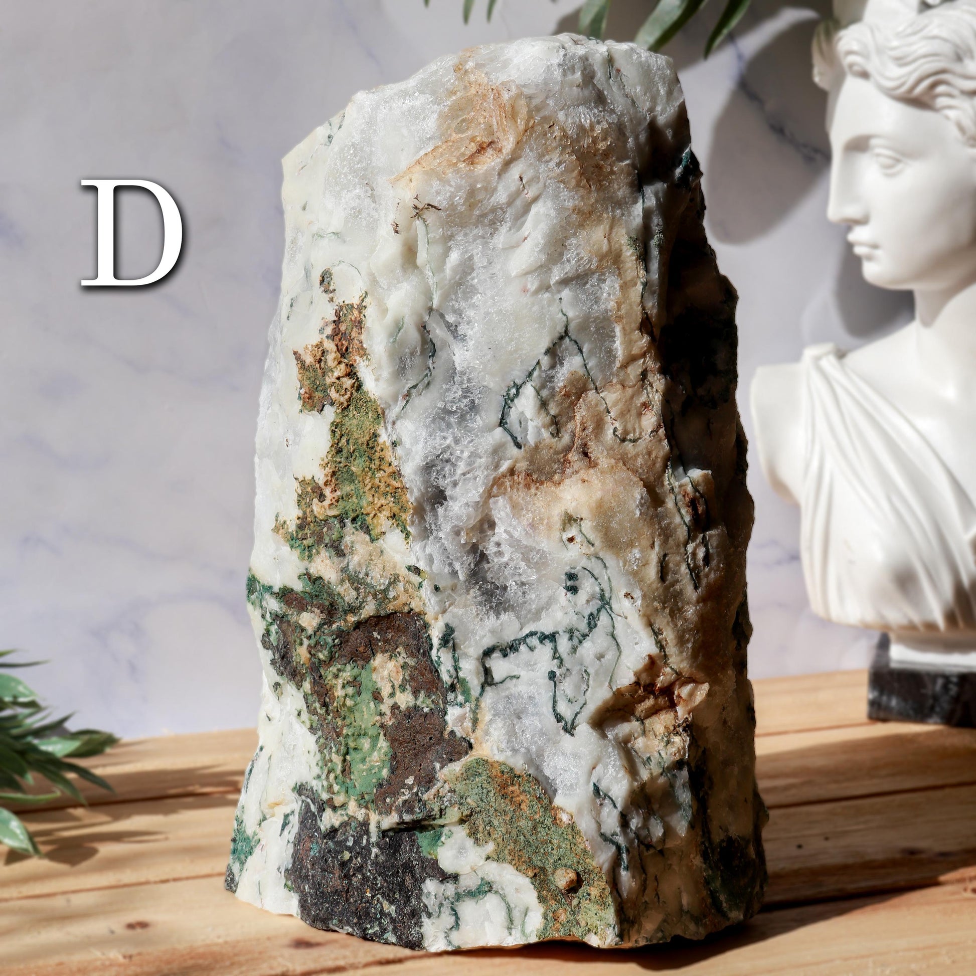 Tree Agate Decor Crystal, Ethically Sourced, Calming, Grounding Energy, Nature-Inspired Boho Decor Gift