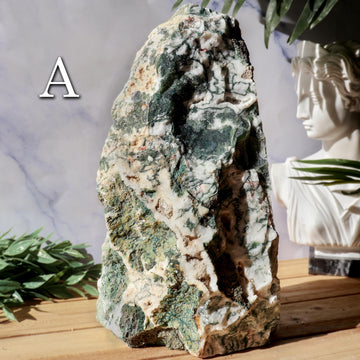 Tree Agate Decor Crystal, Ethically Sourced, Calming, Grounding Energy, Nature-Inspired Boho Decor Gift