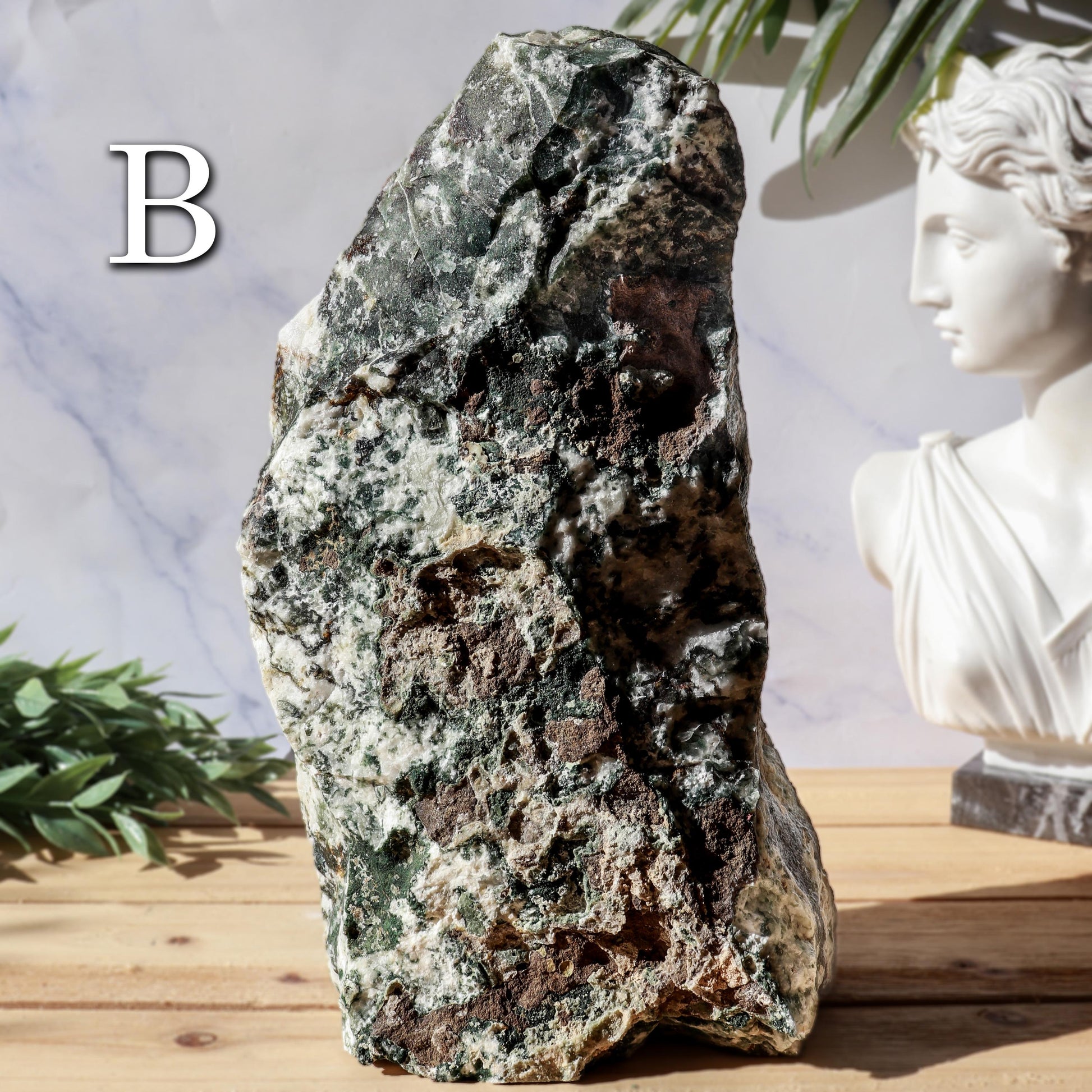 Tree Agate Decor Crystal, Ethically Sourced, Calming, Grounding Energy, Nature-Inspired Boho Decor Gift
