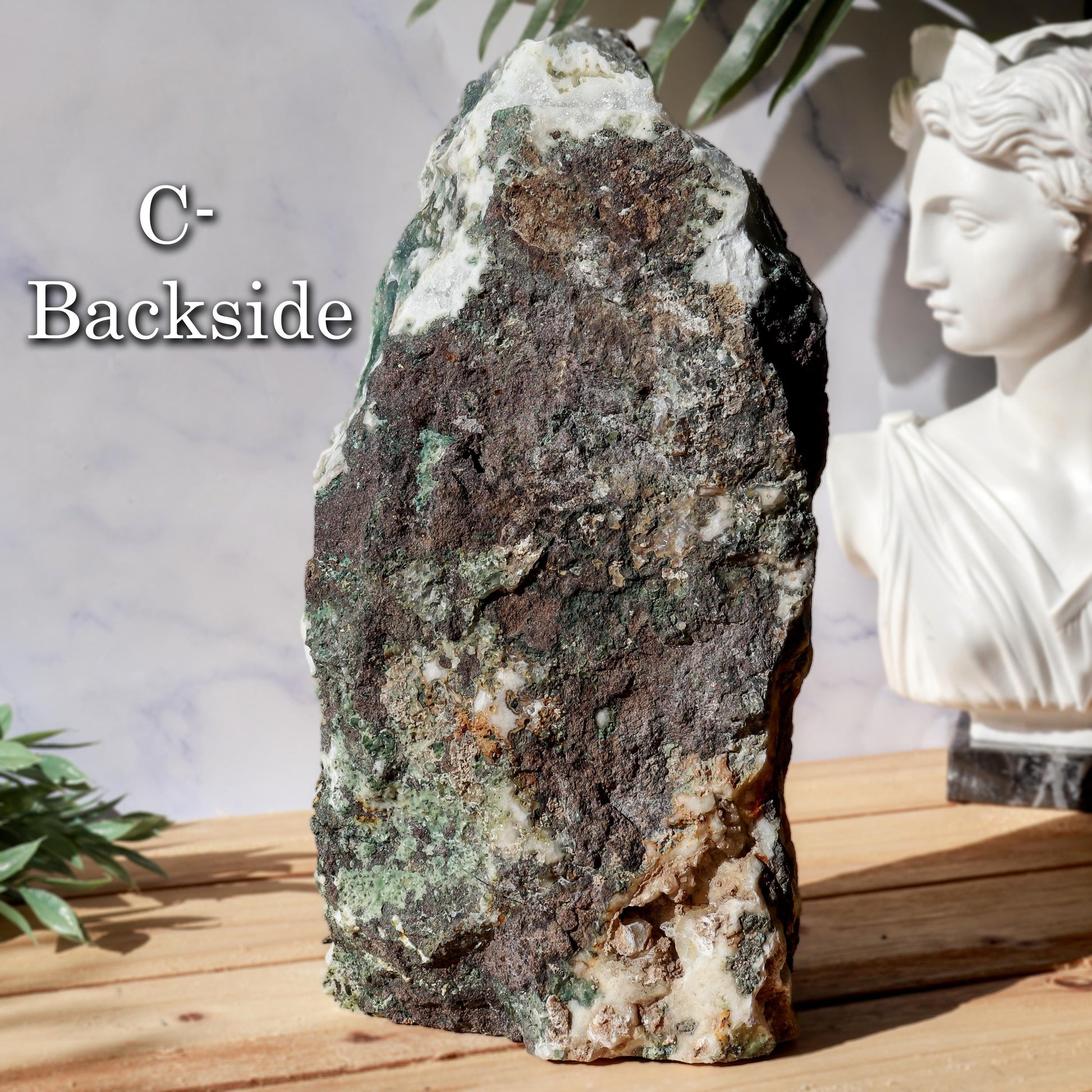 Tree Agate Decor Crystal, Ethically Sourced, Calming, Grounding Energy, Nature-Inspired Boho Decor Gift
