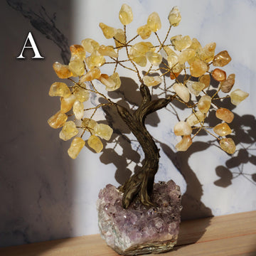 Citrine Gemstone Tree on Amethyst Base, Abundance & Prosperity Tree of Life, Crystal Bonsai Tree, Ethically Sourced Crystals, PICK YOUR OWN!