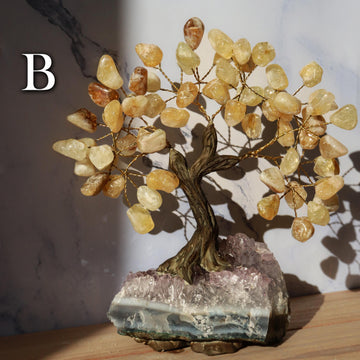 Citrine Gemstone Tree on Amethyst Base, Abundance & Prosperity Tree of Life, Crystal Bonsai Tree, Ethically Sourced Crystals, PICK YOUR OWN!