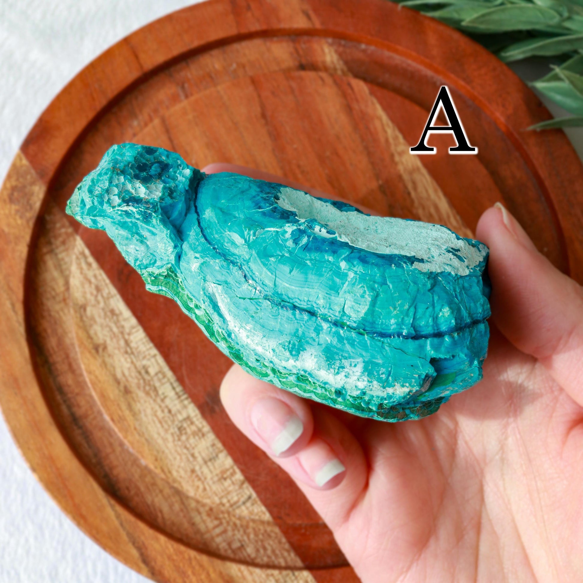 Natural Chrysocolla Malachite Raw Crystal, Ethically Sourced, Valentines Day Gift - PICK YOUR OWN