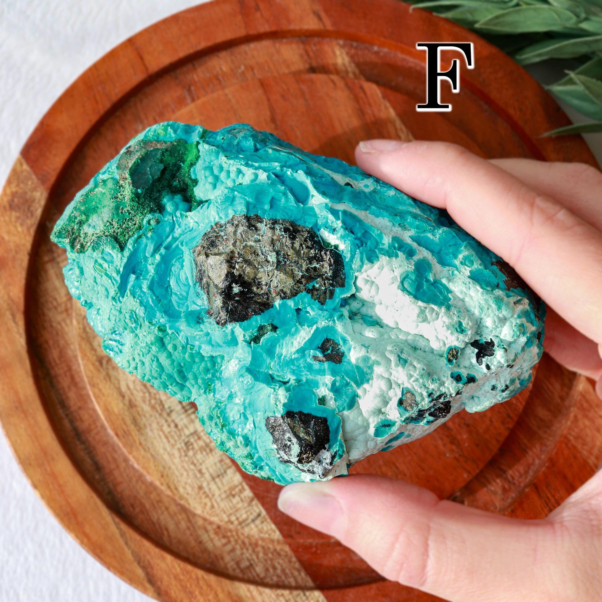 Natural Chrysocolla Malachite Raw Crystal, Ethically Sourced, Valentines Day Gift - PICK YOUR OWN