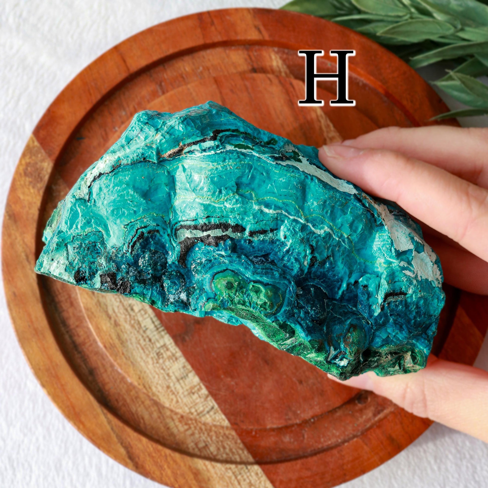 Natural Chrysocolla Malachite Raw Crystal, Ethically Sourced, Valentines Day Gift - PICK YOUR OWN