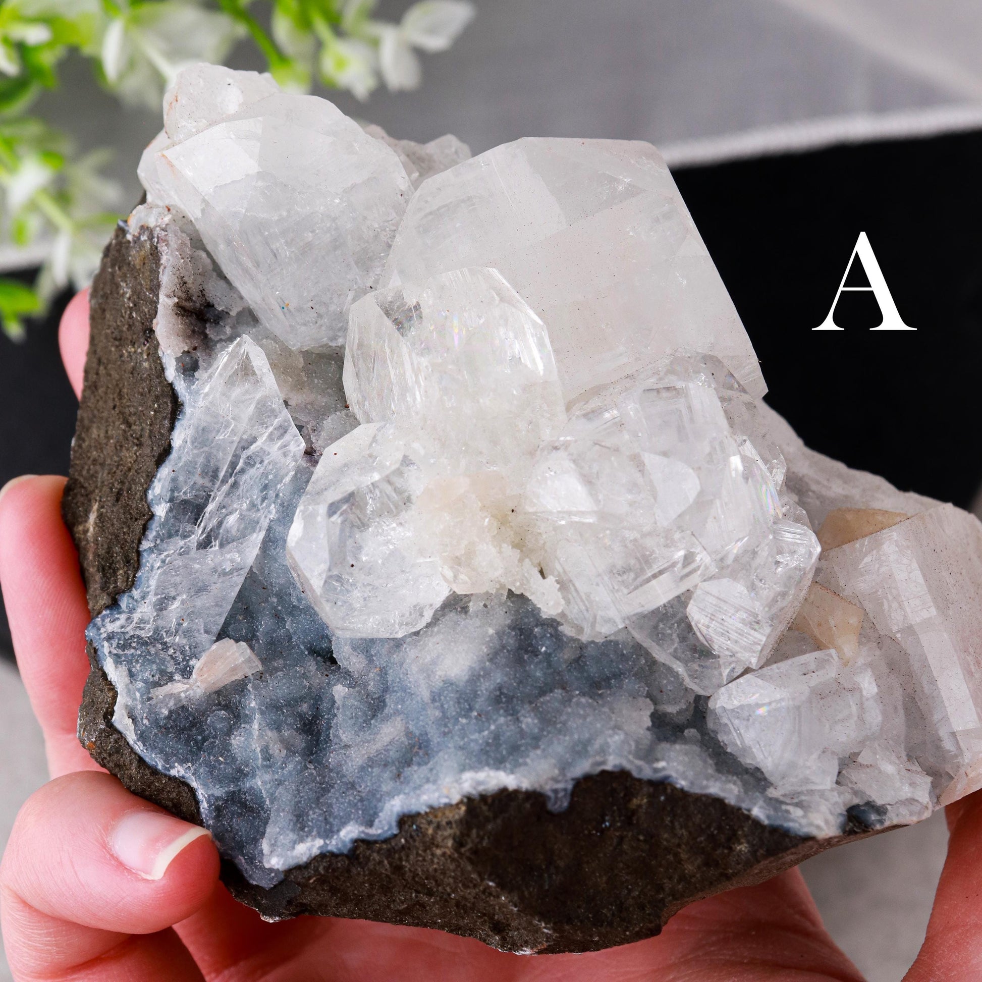 Raw Apophyllite Crystals, Druzy Diamond Shape, Ethically Sourced, Crown Chakra and Meditation - PICK YOUR OWN