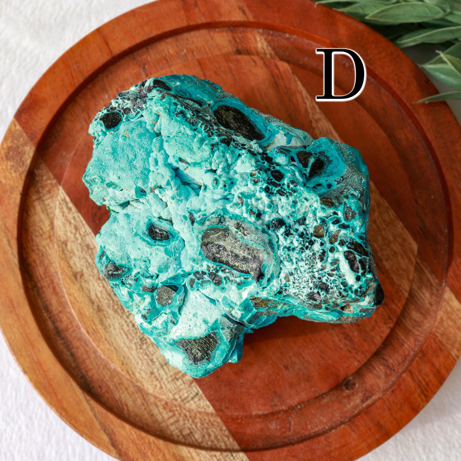Natural Chrysocolla Malachite Raw Crystal, Ethically Sourced, Valentines Day Gift - PICK YOUR OWN