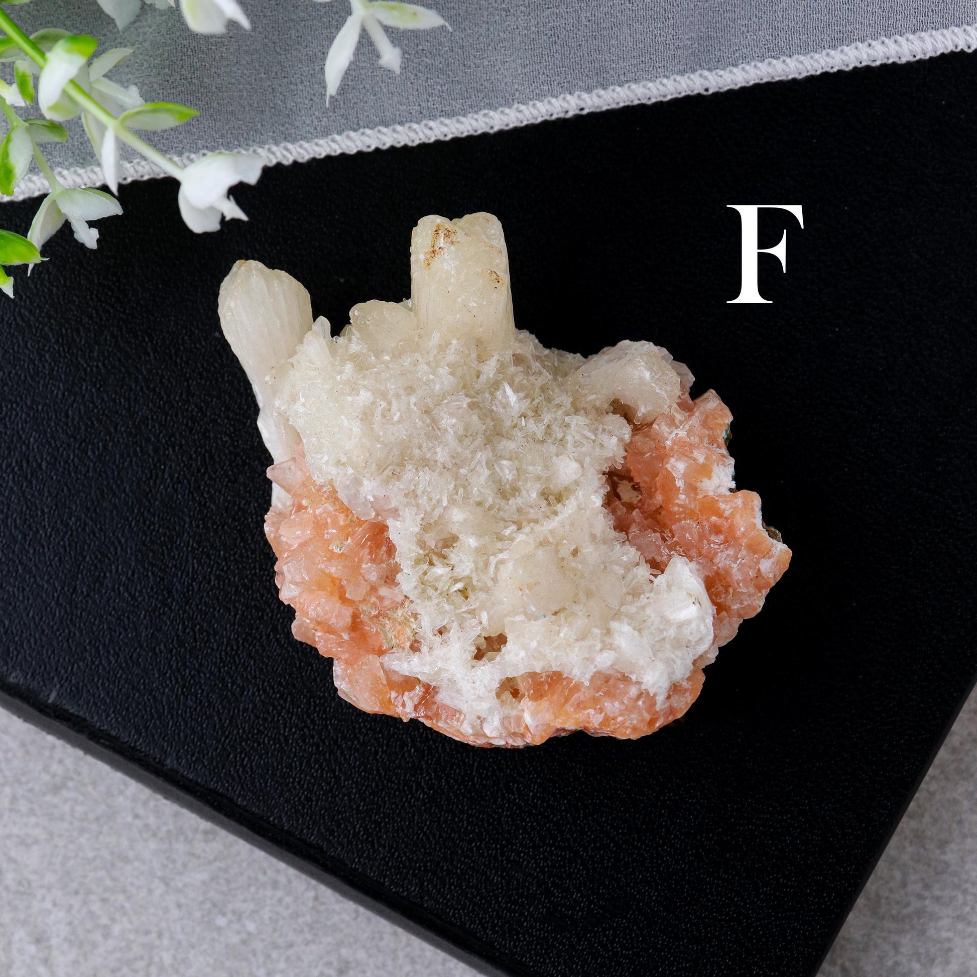 Raw Apophyllite Crystals, Druzy Diamond Shape, Ethically Sourced, Crown Chakra and Meditation - PICK YOUR OWN