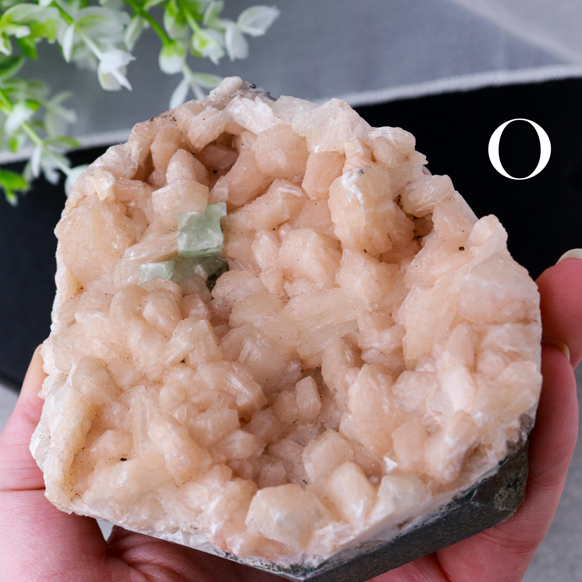 Raw Apophyllite Crystals, Druzy Diamond Shape, Ethically Sourced, Crown Chakra and Meditation - PICK YOUR OWN