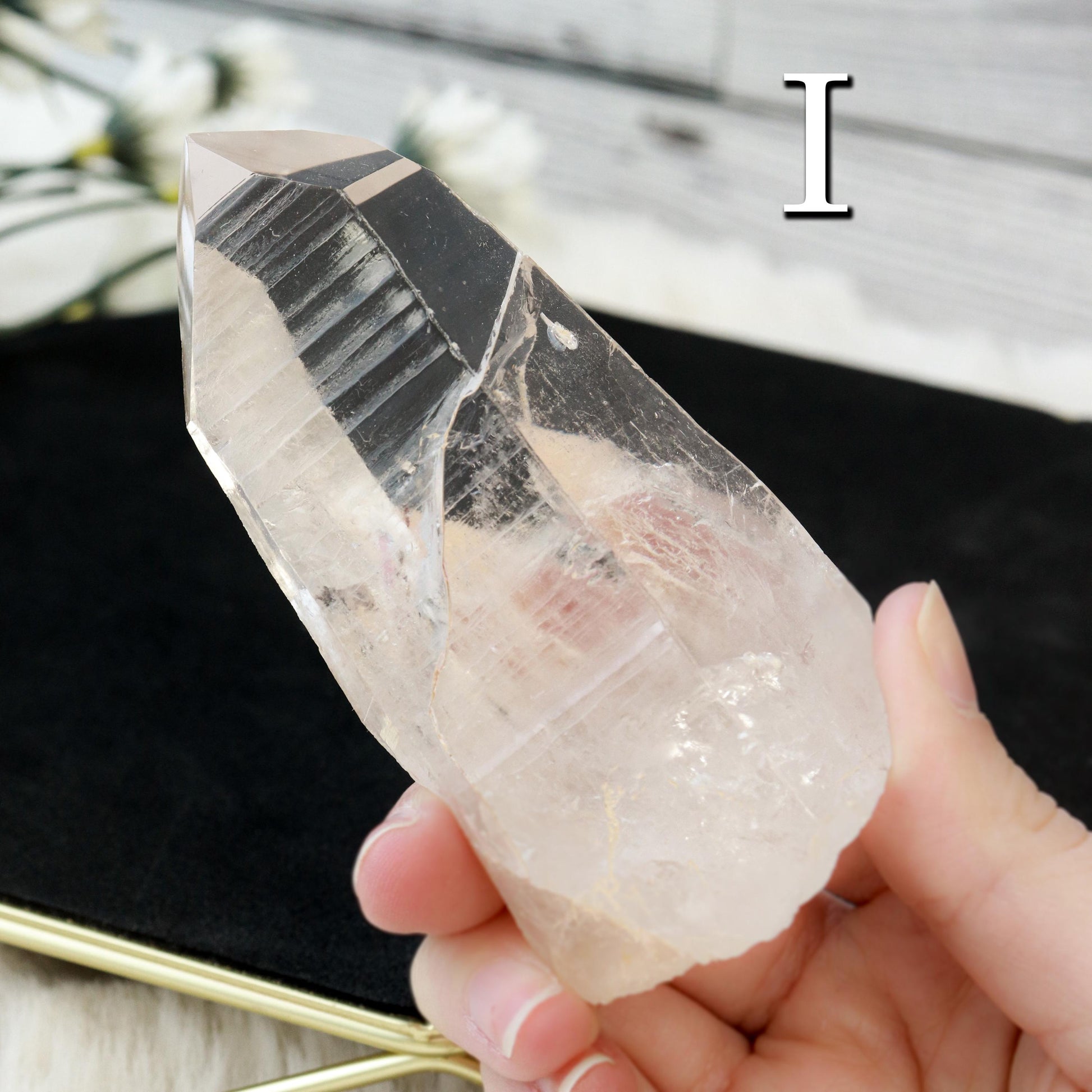 Lemurian Cut Points, Grade AAA, Ethically Sourced - PICK your OWN