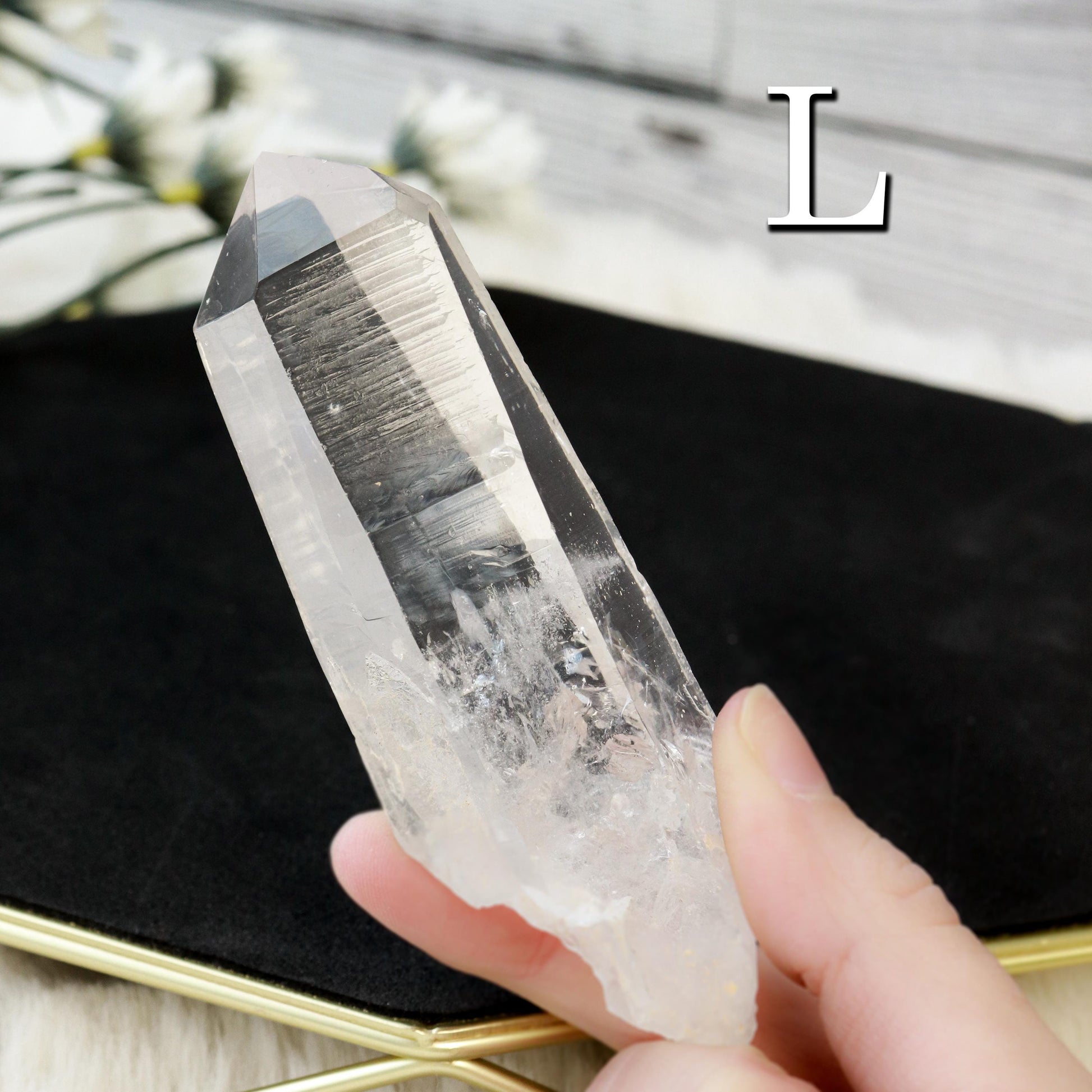 Lemurian Cut Points, Grade AAA, Ethically Sourced - PICK your OWN