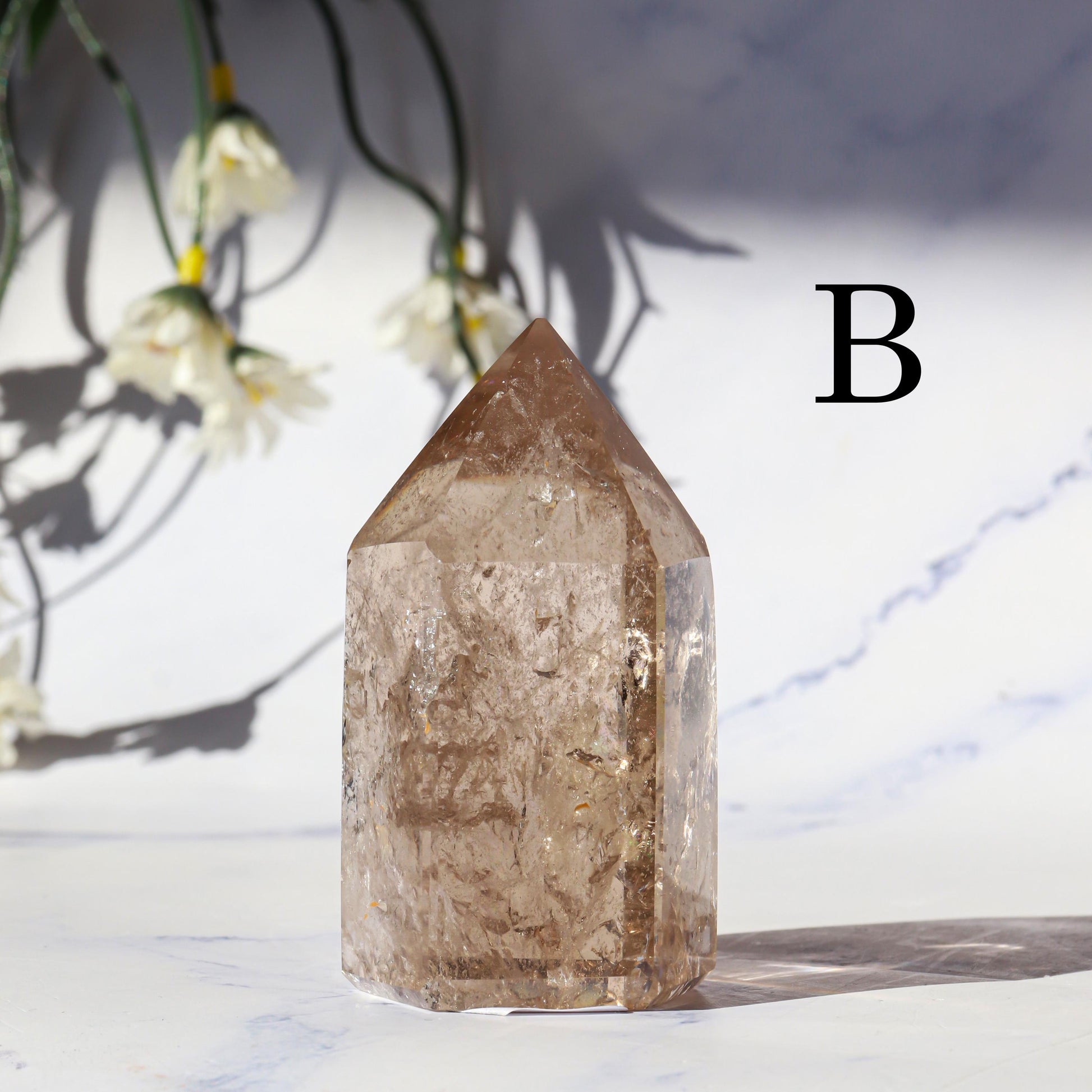 Smoky Quartz Generator | Smoky Quartz Crystal Point | Smoky Quartz Gemstone