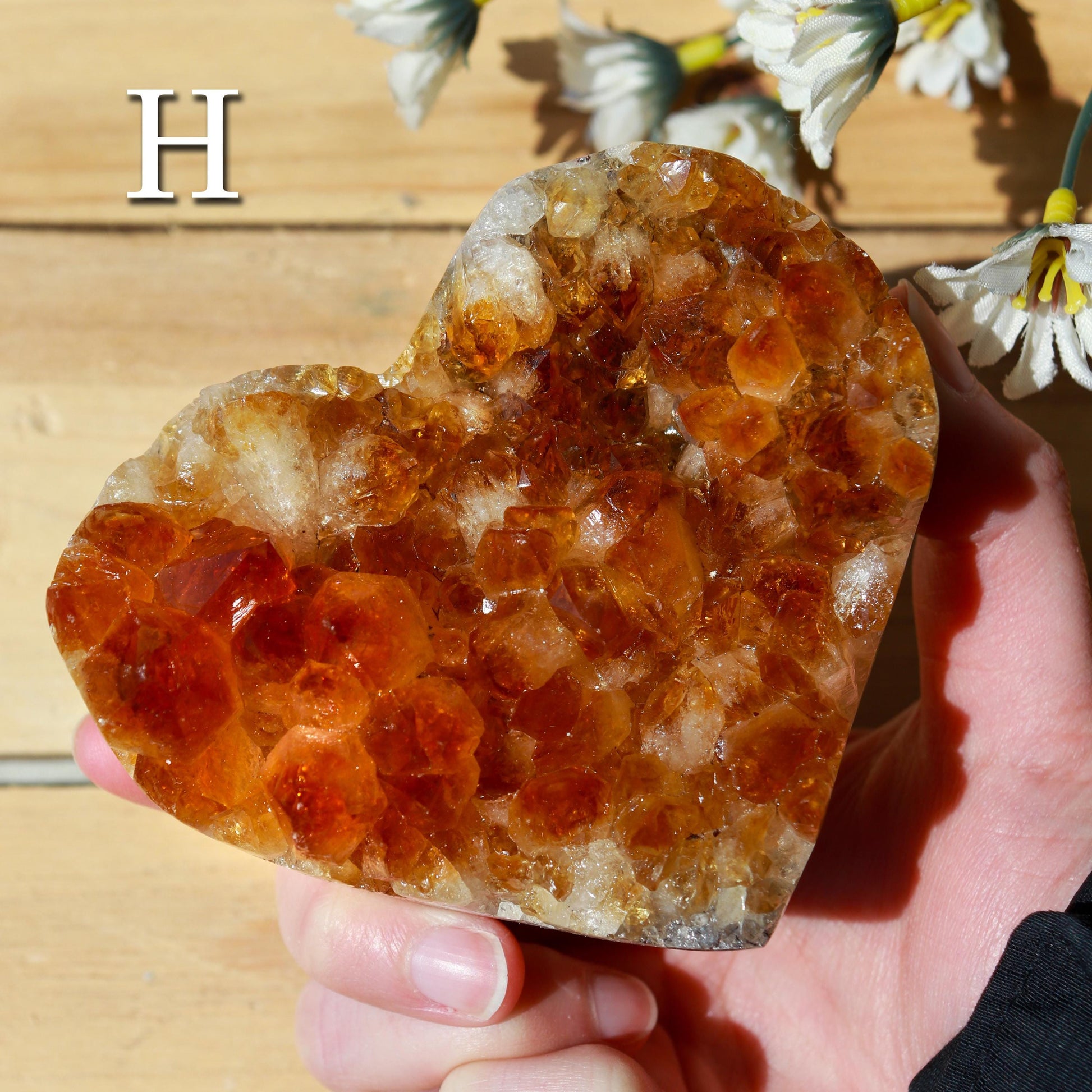 Citrine Heart Cluster, Solar Plexus Chakra, Ethically Sourced - PICK YOUR OWN