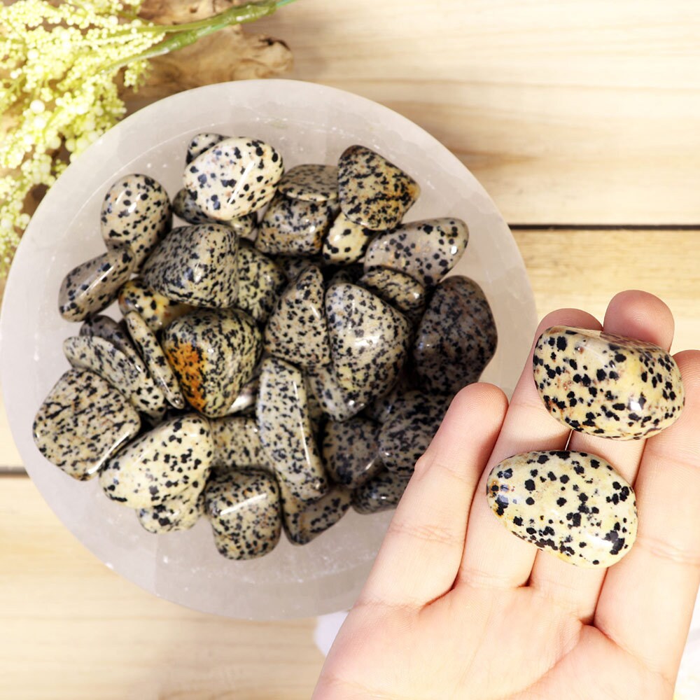 Wholesale Lot of Dalmatian Jasper Tumbled Stones, Natural Polished Gemstone, Jewelry, DIY, Ethically Sourced