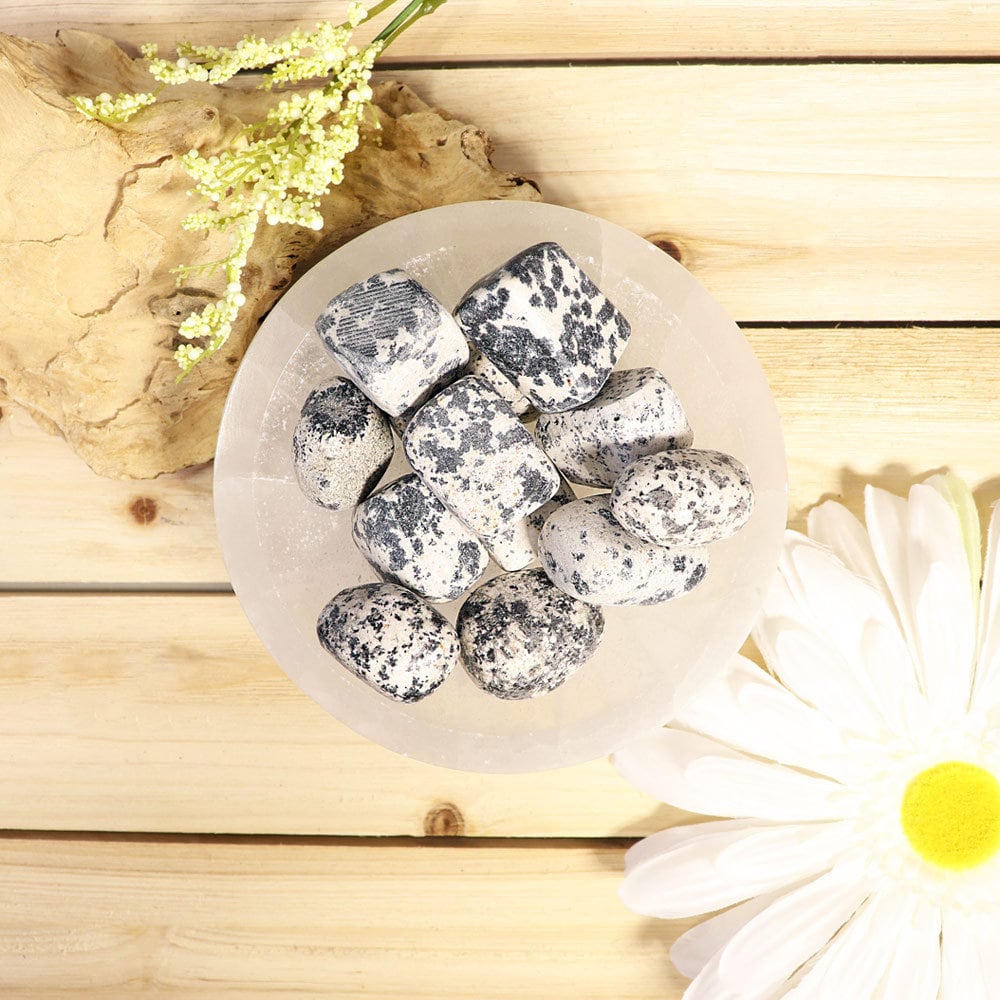 Dalmatian Jasper Tumbled Stones, Root Chakra, Sacral Chakra, Reiki, Energy Healing